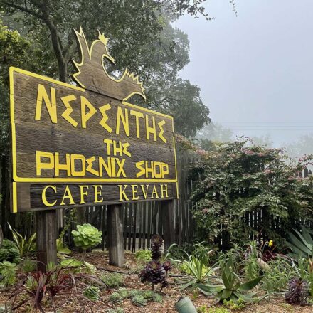 Nepenthe Restaurant
