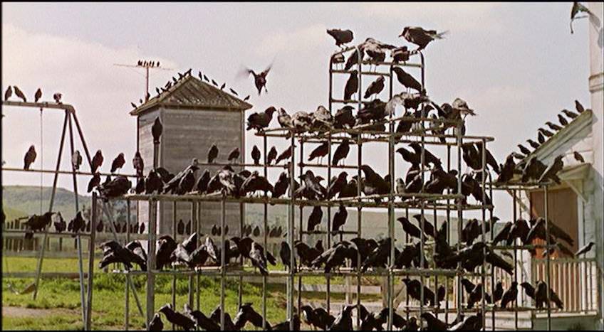 School house where the Birds was shot in Bodega Bay