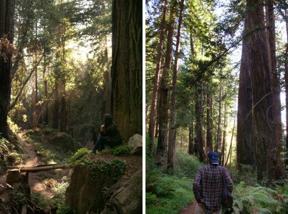 Hike to a Secret Waterfall on the Ewoldsen Trail in Big Sur-Hidden CA