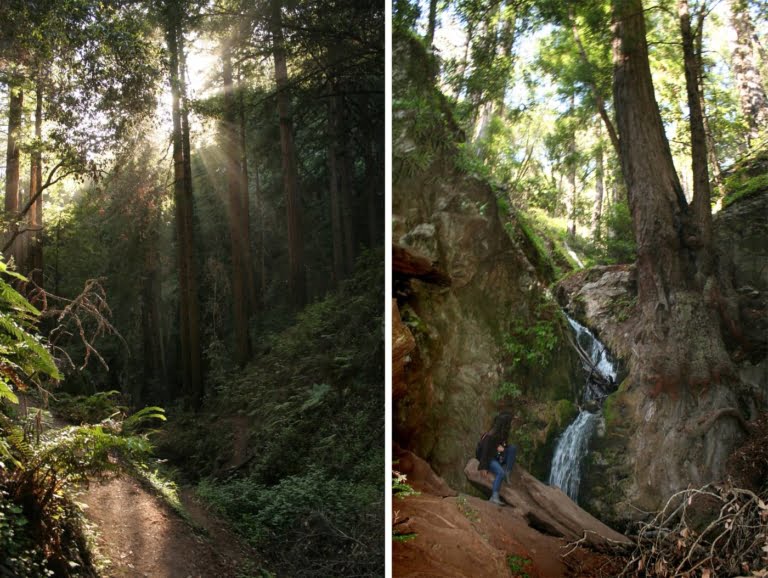 Hike to a Secret Waterfall on the Ewoldsen Trail in Big Sur-Hidden CA