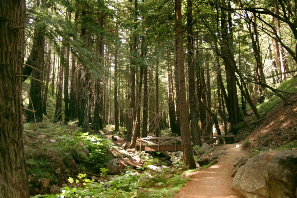 Limekiln Waterfall