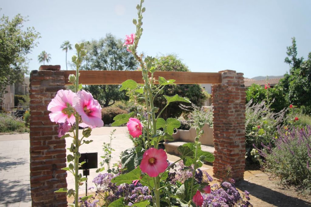 Visit the historic Mission San Juan Capistrano, built in 1786!