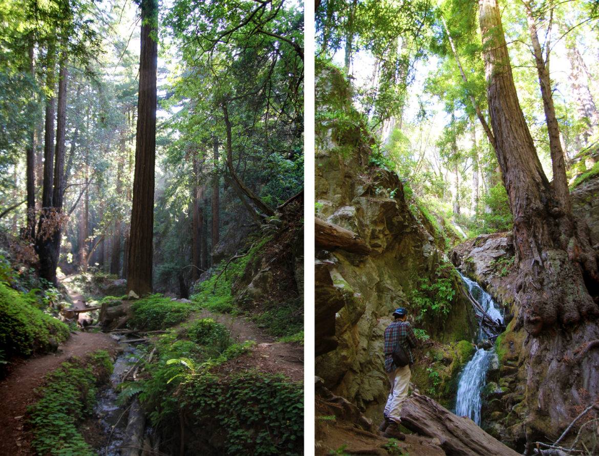 Hike to a Secret Waterfall on the Ewoldsen Trail in Big Sur-Hidden CA