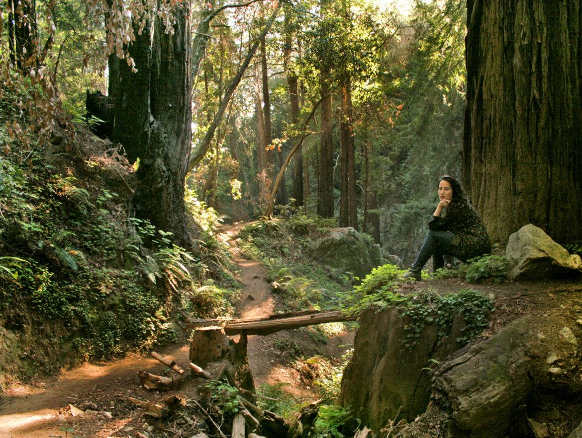 Hike to a Secret Waterfall on the Ewoldsen Trail in Big Sur-Hidden CA