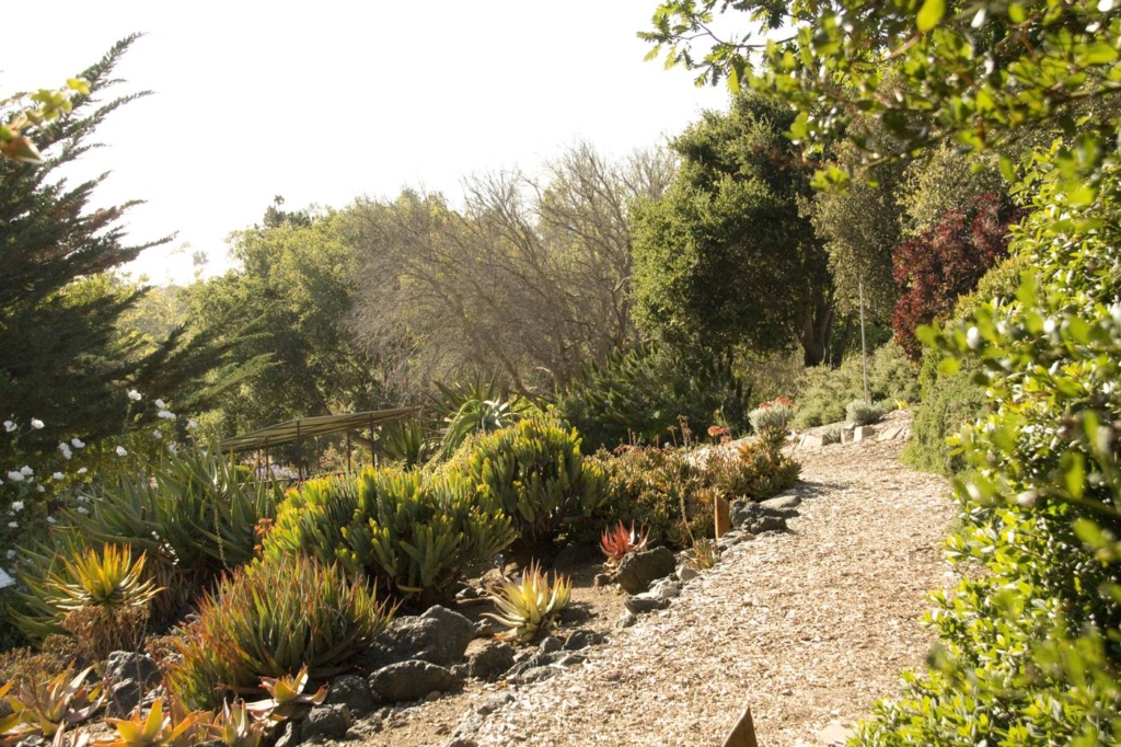 Explore one of SLO counties beautiful botanical gardens right off highway 1!