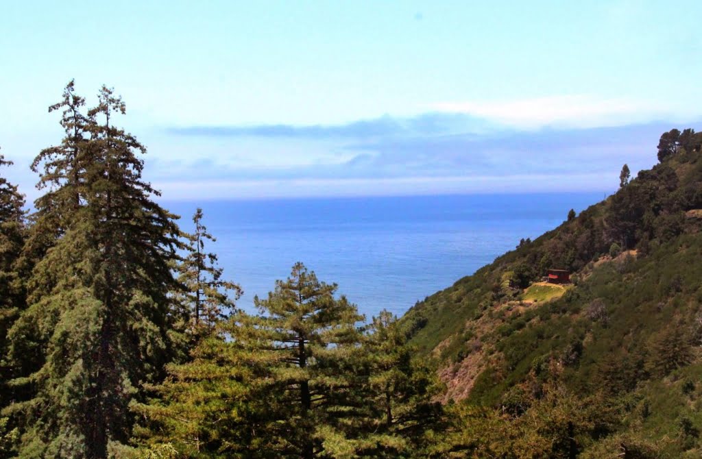 Hike the tanbark trail in Big Sur, one of the most magical forests around!