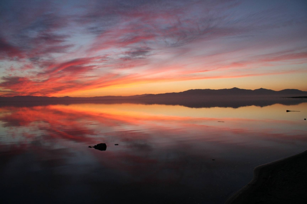 Visit the Salton Sea in Niland, a dead sea that was once a luxurious resort town