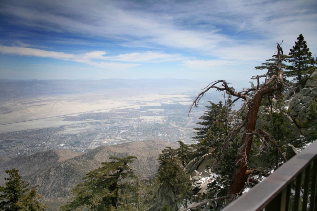 Mt. San Jacinto & Tram