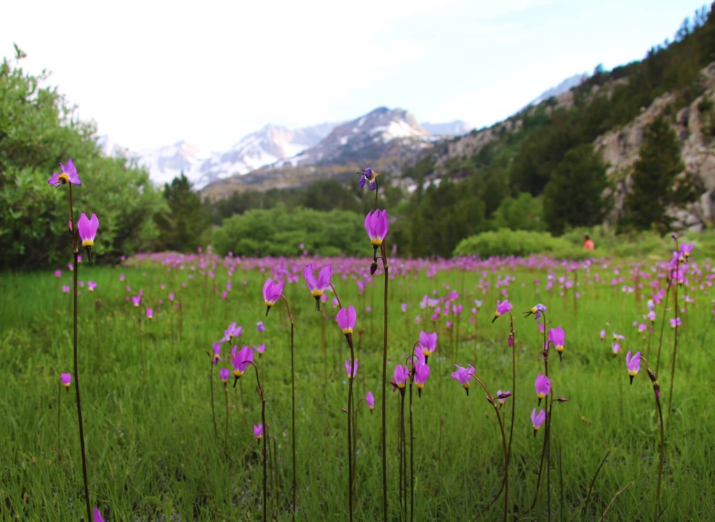 Many lake hike in Bishop, Inyo County