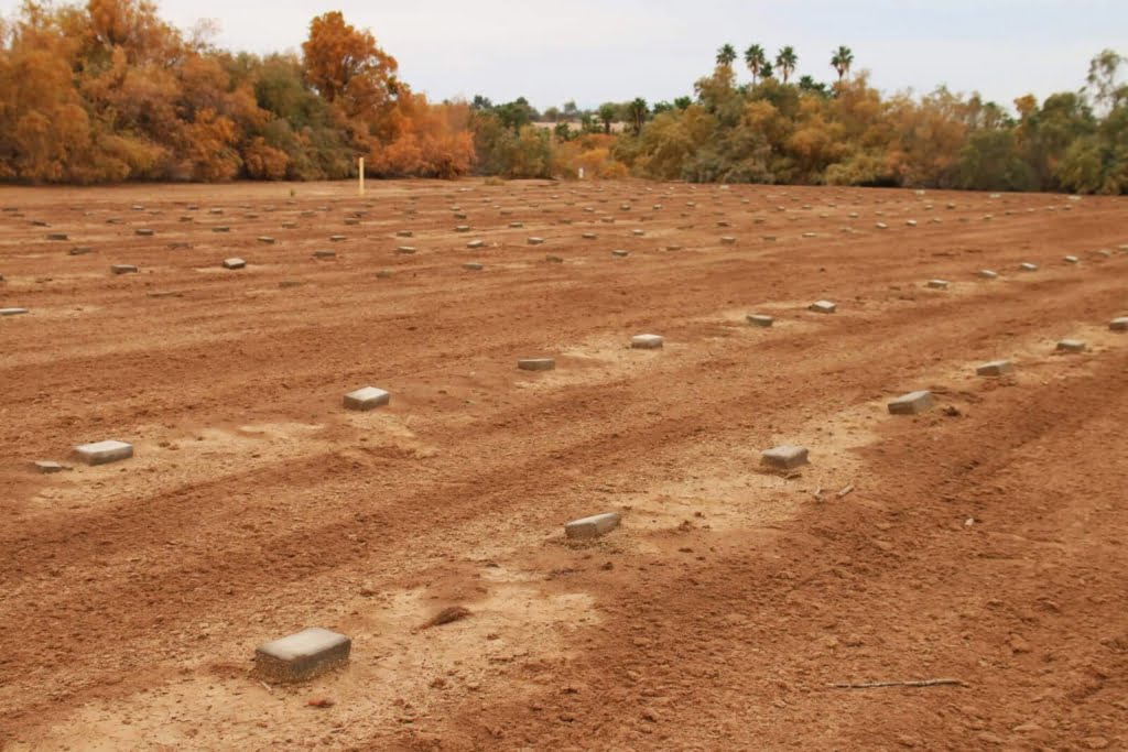 In a quiet field behind the Terrace Park Cemetery in Imperial Valley lays  the remains of hundreds of unidentified bodies, all named Jane & John Doe. 