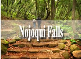 Nojoqui Falls in Santa Barbara is a hidden waterfall