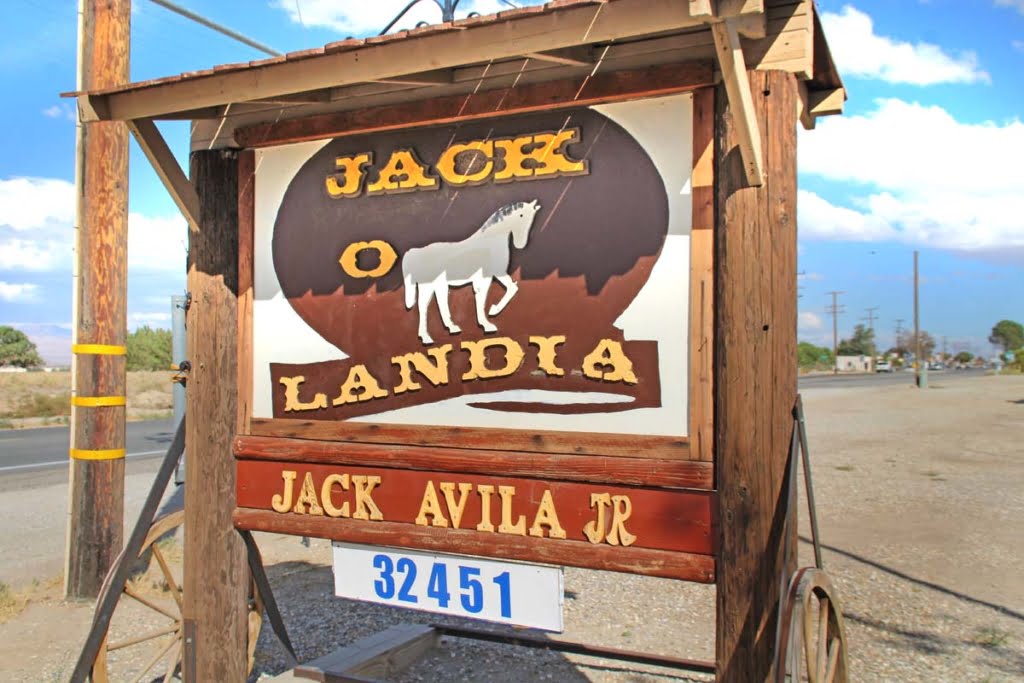 Jack-o-Landia