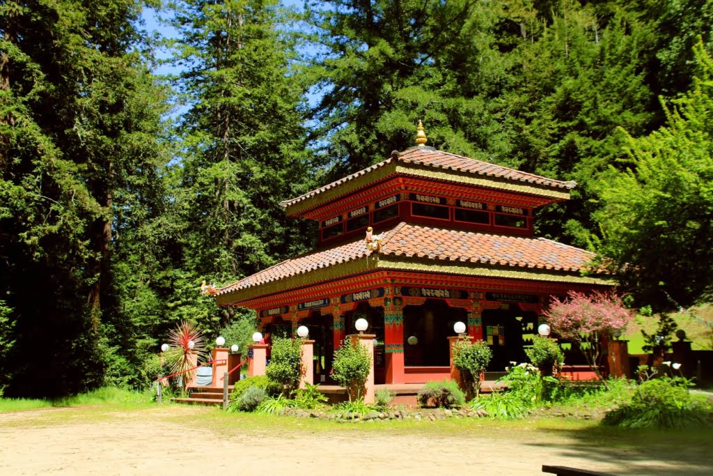 Land of Medicine Buddha provides classes and space for group and personal retreats, on a forested piece of property at the foothills of the Santa Cruz