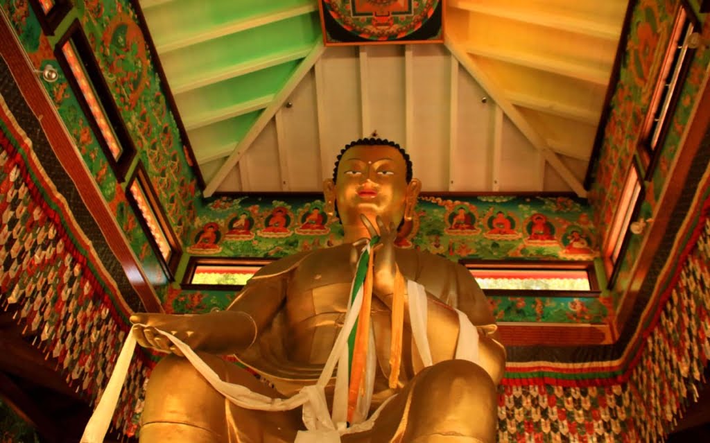 Visit the Land of Medicine Buddha in the Hills of Santa Cruz