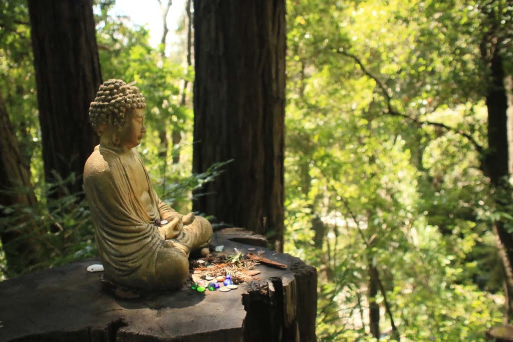 Visit the Land of Medicine Buddha in the Hills of Santa Cruz