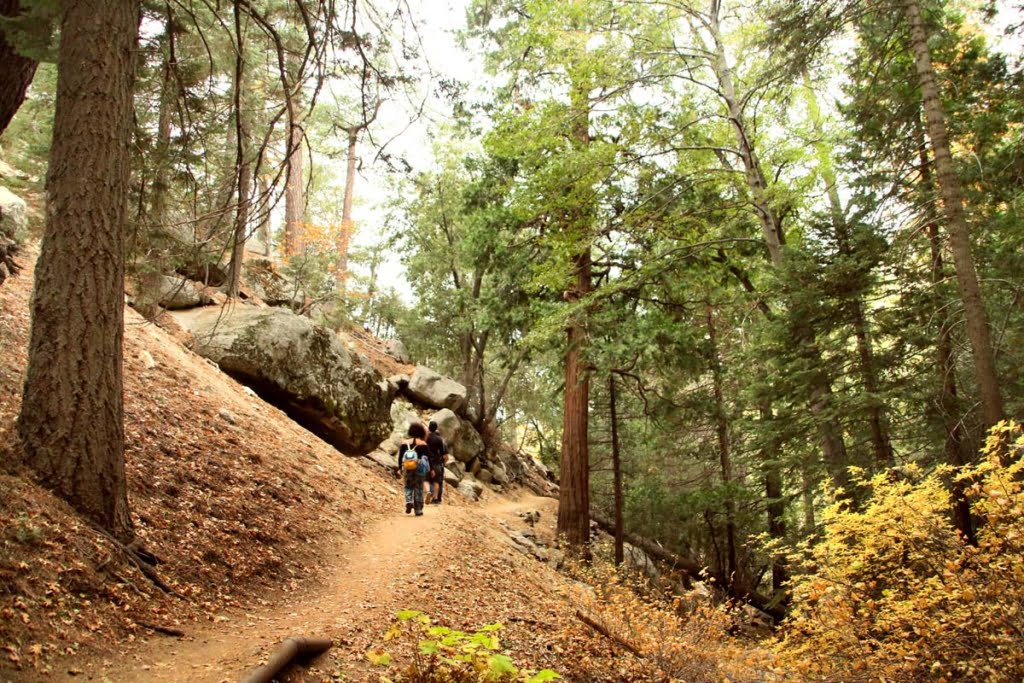 Hike Idyllwild's Ernie Maxwell Scenic Trail - Hidden ...