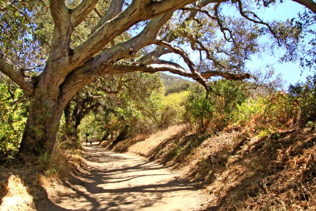 Gaviota Hot Springs