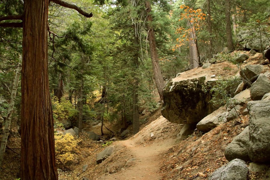 Ernie Maxwell Scenic Trail is one of Idyllwild's easier hikes but still packed with beautiful views and scenery. Great for the entire family!