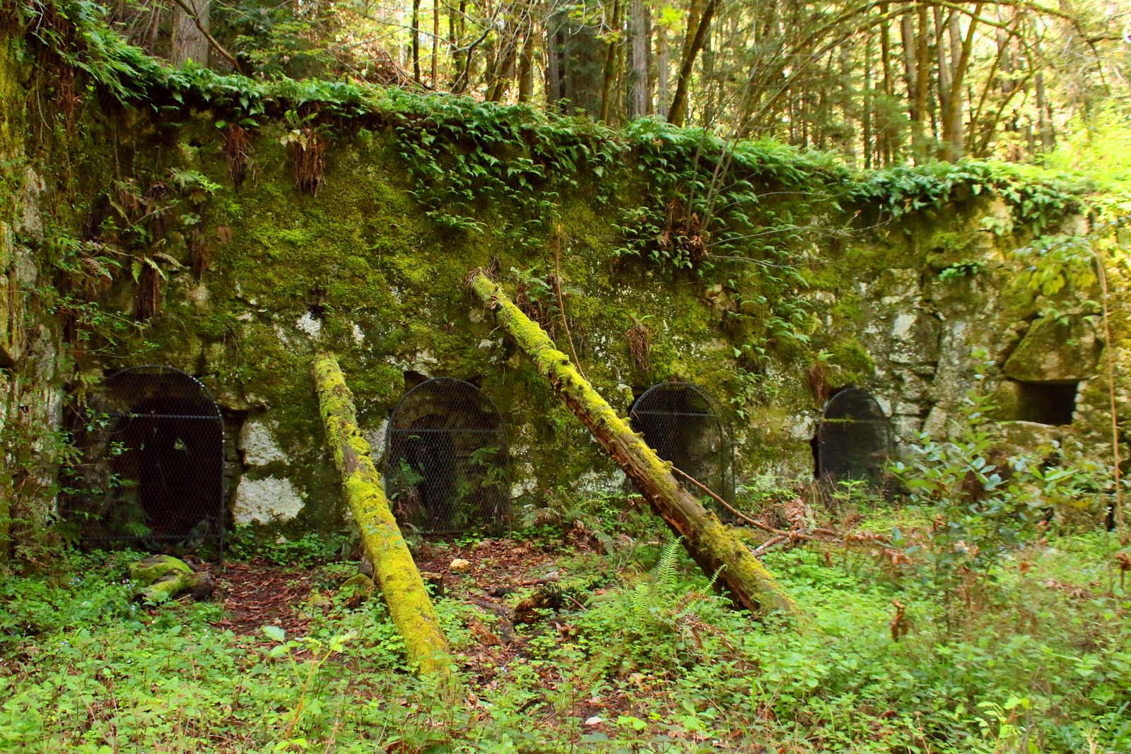 Hike to the Pogonip Historic Limekiln in Santa Cruz Hidden