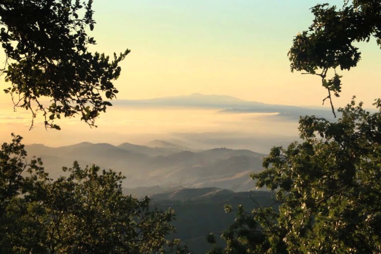 Hike to Fremont Peak in Santa Cruz Hidden CA