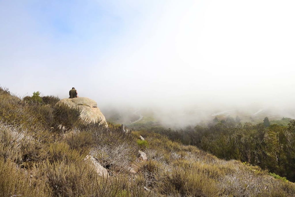 Morro Bay's Black Hill requires a minimal hike to reach amazing views, Get  Out, San Luis Obispo