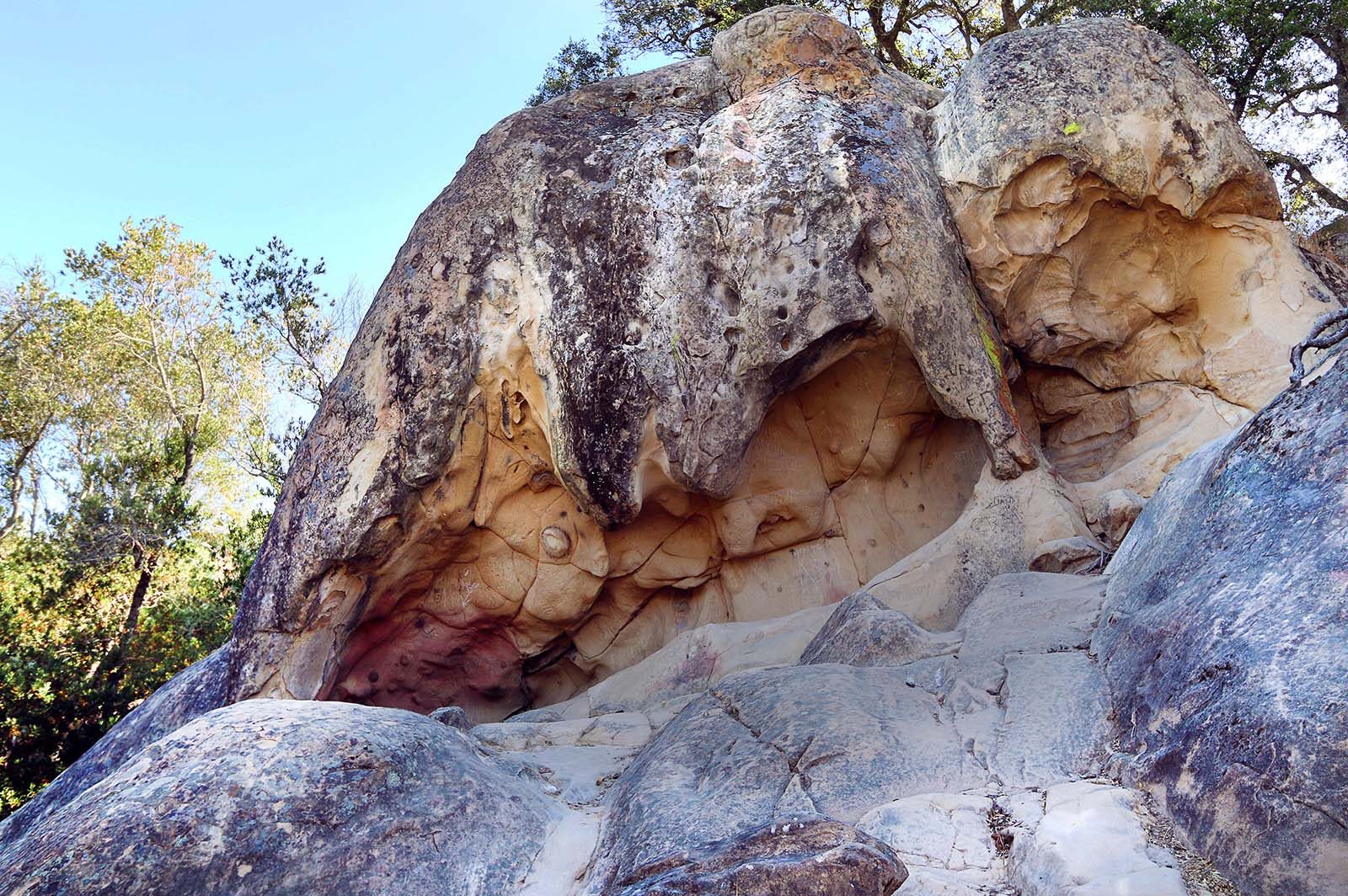 Mount Diablo has some beautiful historic hiking trails you can take including the Rock City Wind Caves trail which winds you through a slot canyon & lookout point