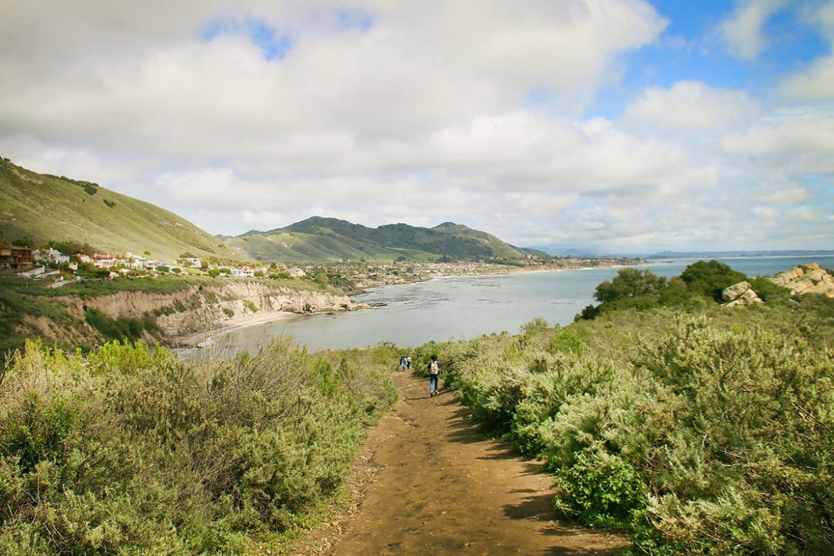 Visit Pirate's Cove / Cave Landing in San Luis Obispo