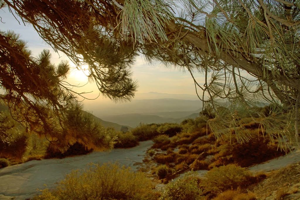 Indian Vista Overlook is a 0.2 mile moderately trafficked out and back trail located near Idyllwild that offers scenic views and is good for all skill levels.