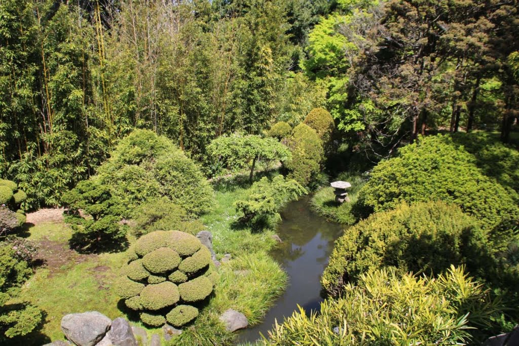 Japanese Tea Garden