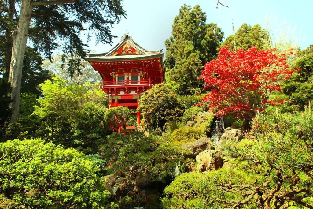 Visit SF's Japanese Tea Garden | Hidden California