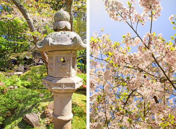 Visit SF's Japanese Tea Garden | Hidden California