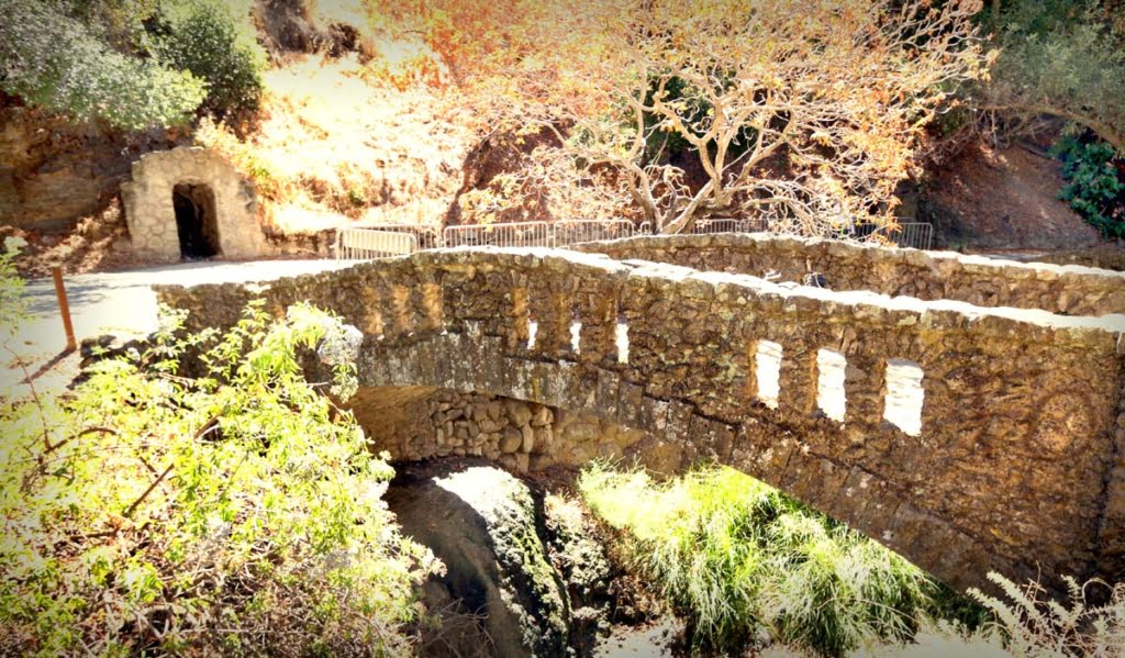 Alum Rock Mineral Springs