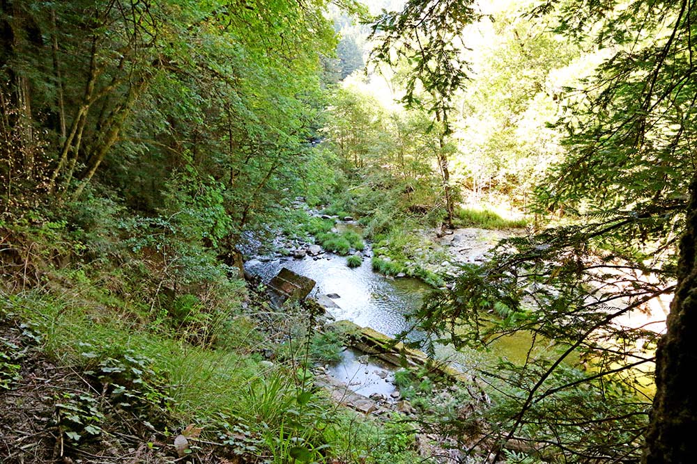 Garden of Eden in Santa Cruz | Hidden CA