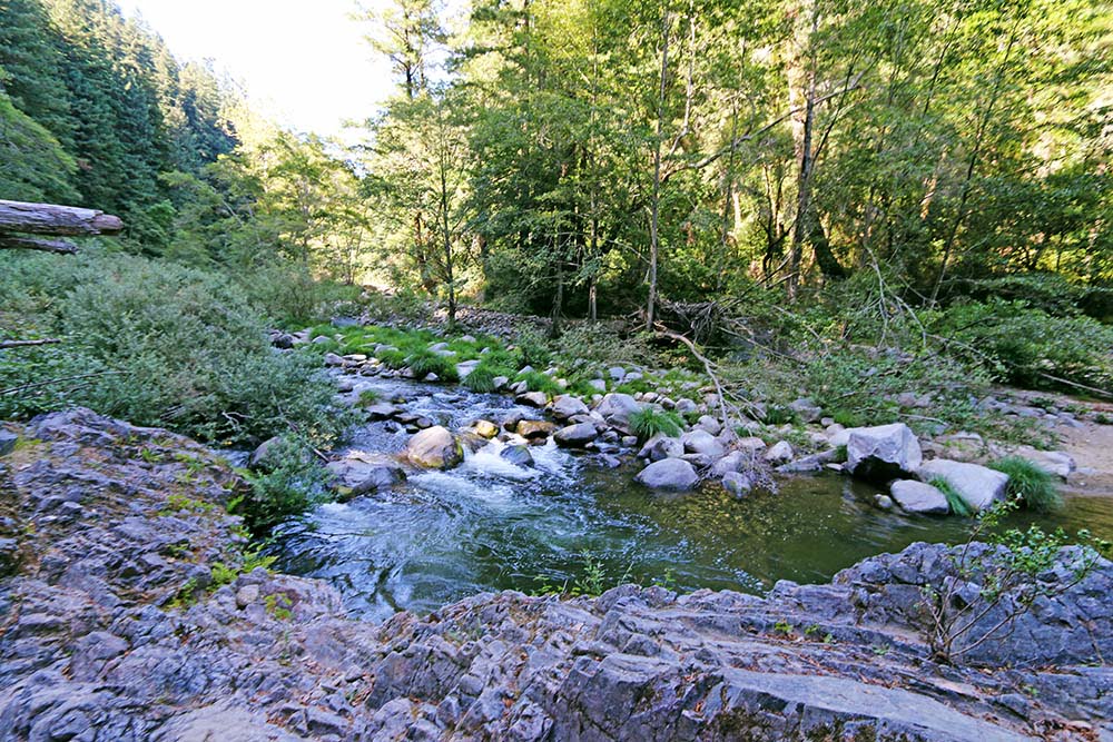 Garden of Eden in Santa Cruz Hidden CA