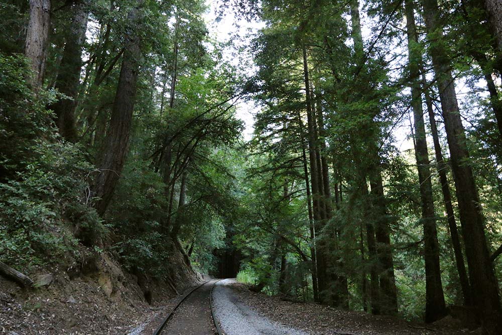 Garden of Eden in Santa Cruz | Hidden CA