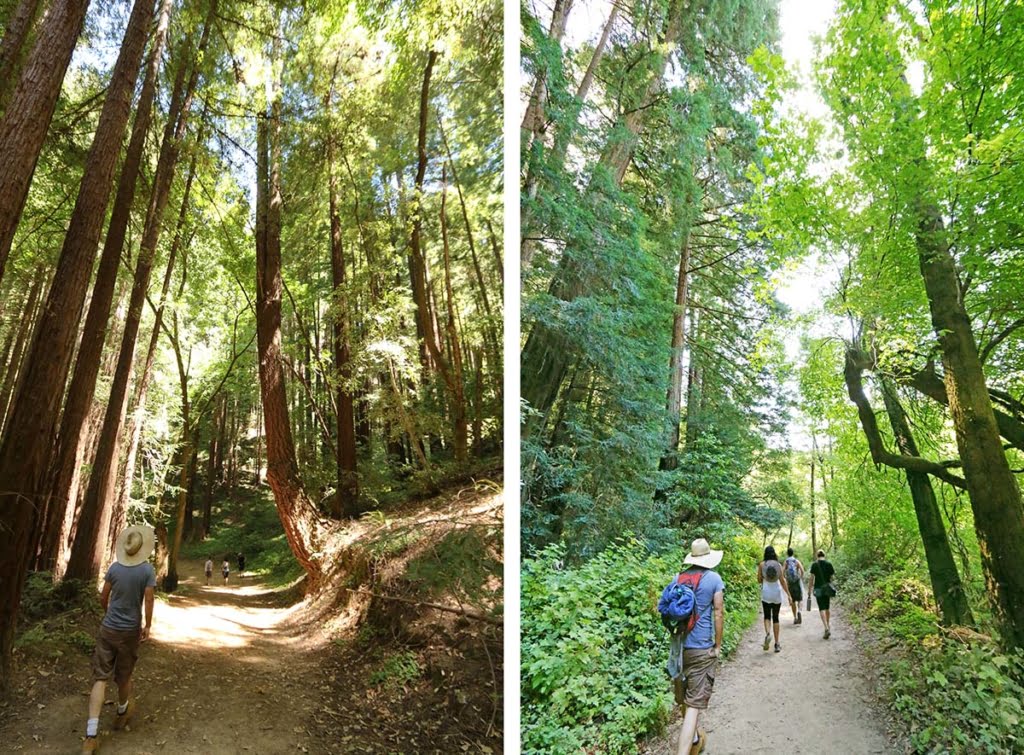 Garden of Eden in Santa Cruz Hidden CA