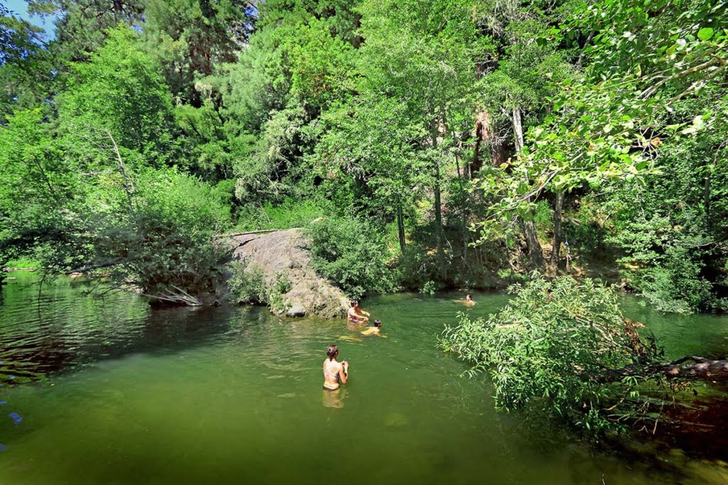 Garden of Eden in Santa Cruz Hidden CA