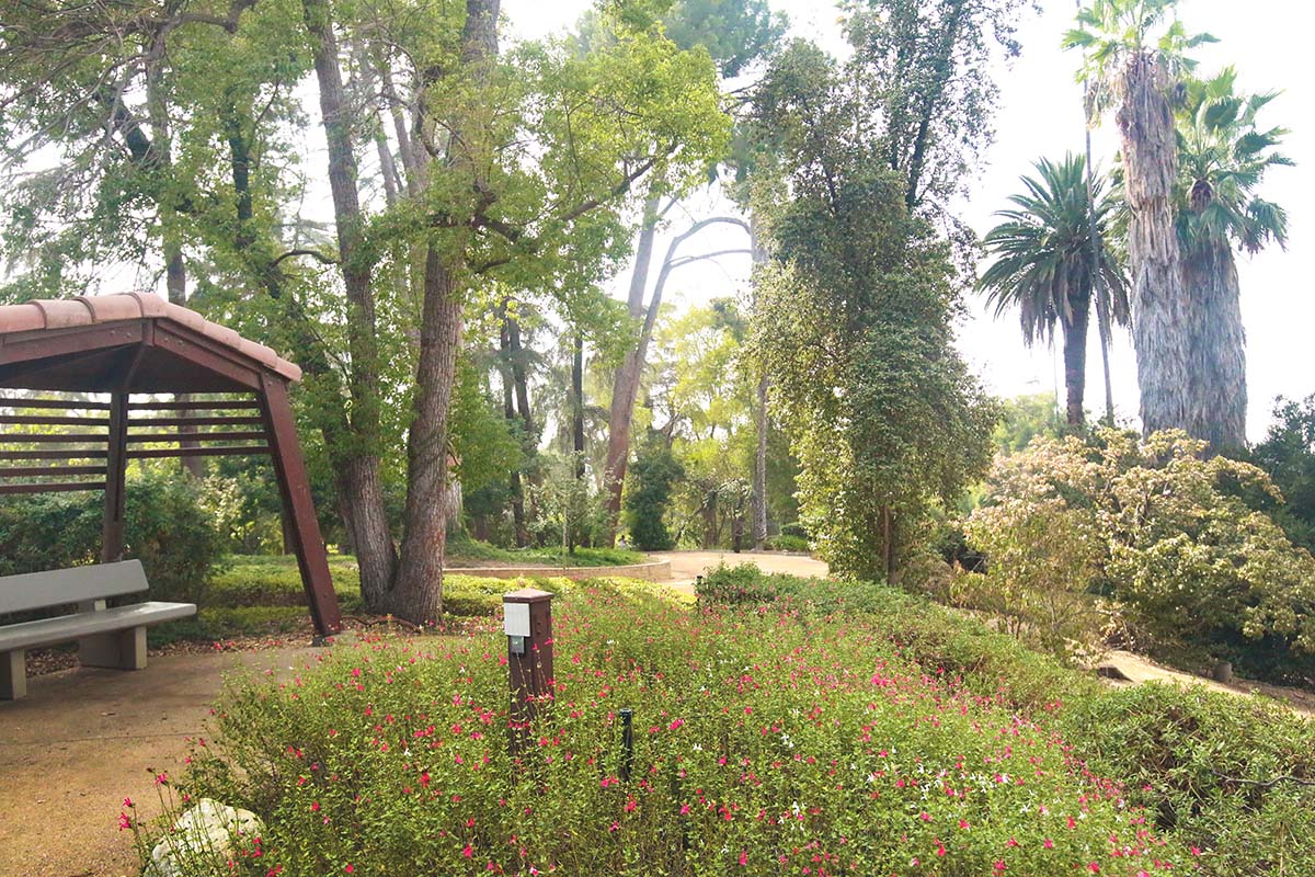 Prospect Park Hidden California