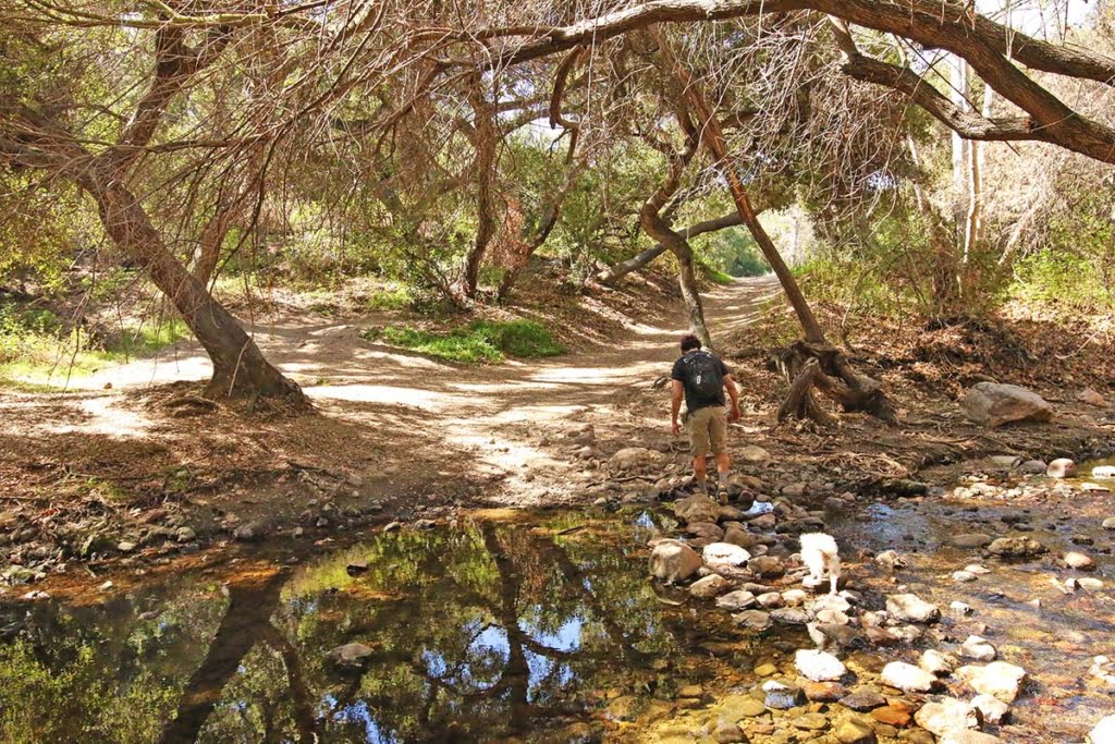 Hiking the Antonovich Trail in San Dimas, CA