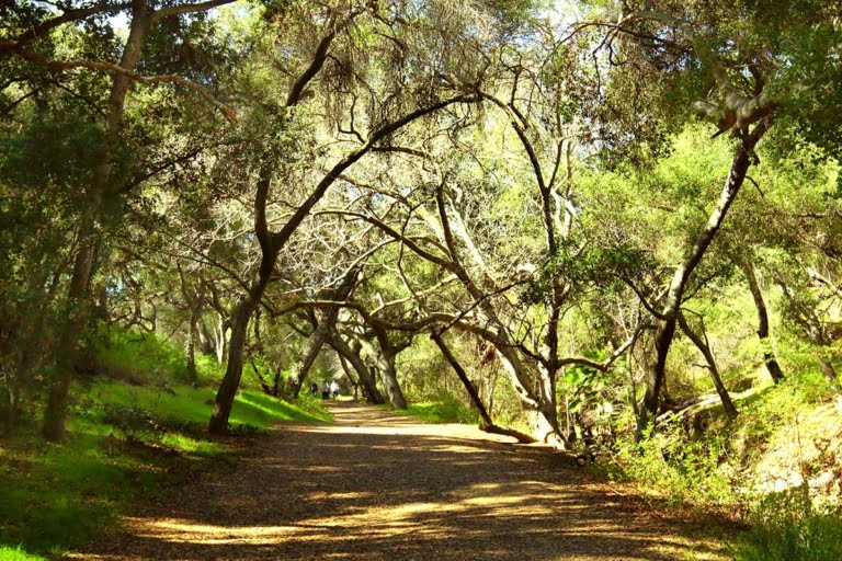 Walnut Creek Park - Hidden California