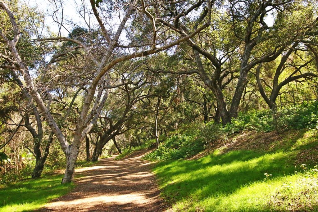 Hiking the Antonovich Trail in San Dimas, CA