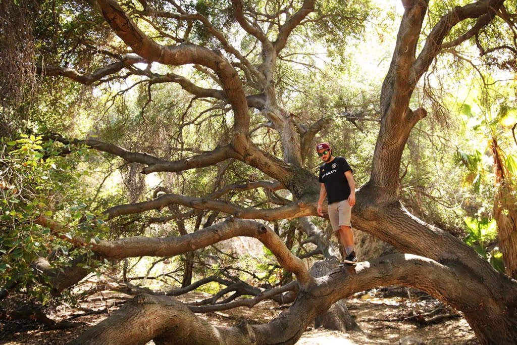 walnut creek park