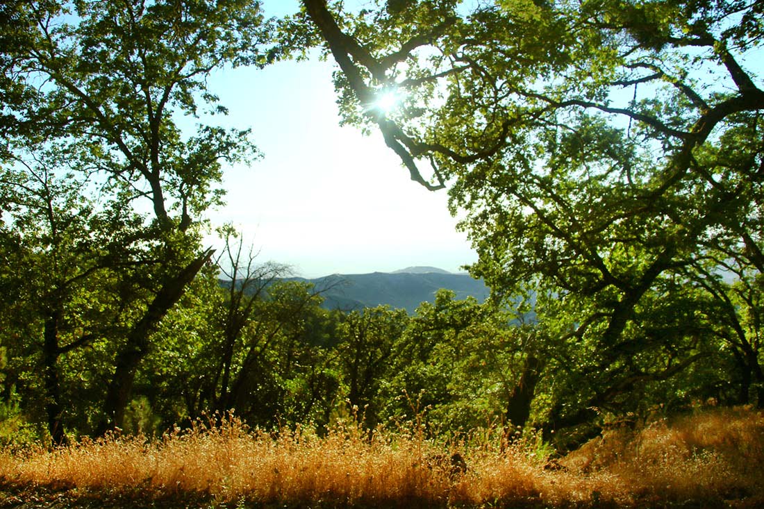 Fremont Peak State Park Campground Hidden California