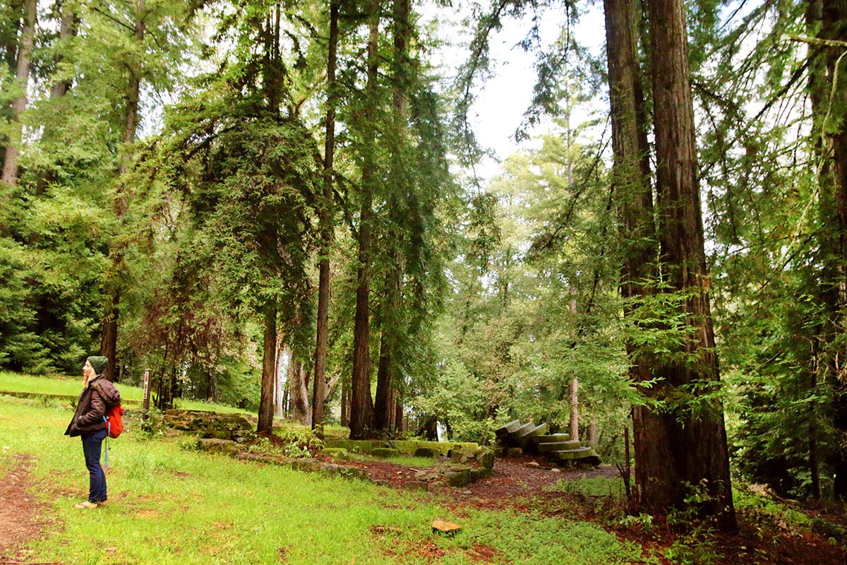 Henry Miller Site - Hidden California
