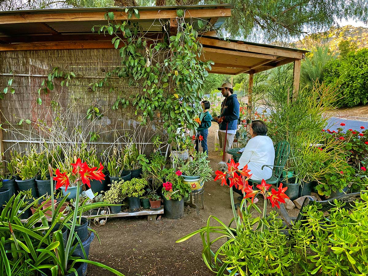 buena loma gardens