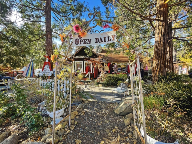 Visit Downtown Idyllwild Hidden California   Downtown Idyllwild 9 768x576 