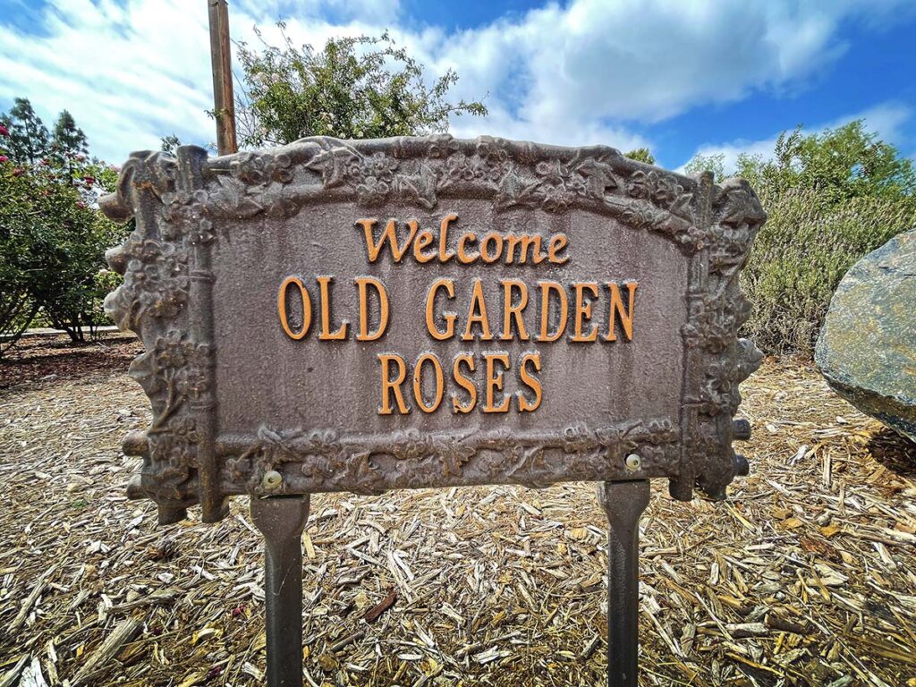 Rose Haven Heritage Garden Hidden California